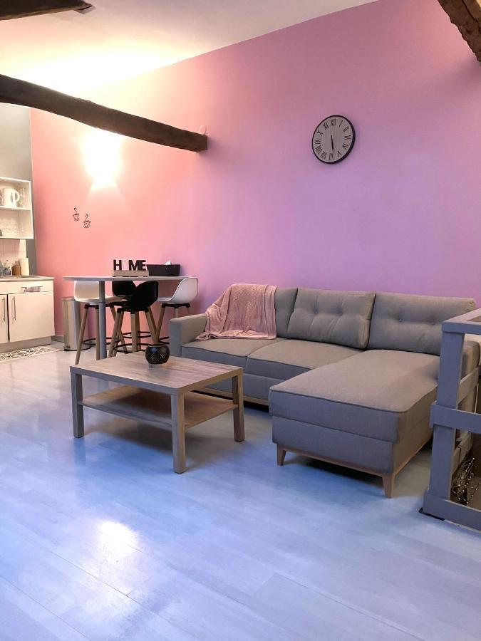 Chablis: Grand Studio En Plein Centre Ville Dış mekan fotoğraf